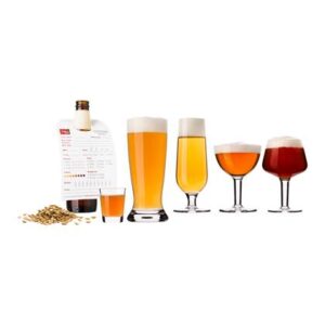 VacuVin Beer Tasting Glazenset 10-delig Bierglazen